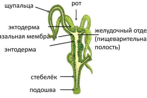 Зеркало в меге